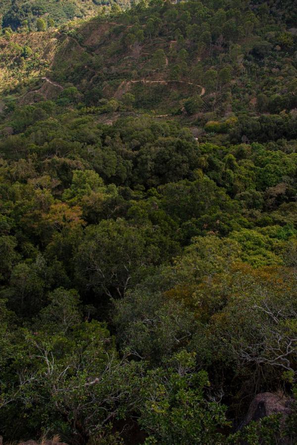 Pico Colorado * Aserri